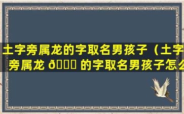 土字旁属龙的字取名男孩子（土字旁属龙 🐎 的字取名男孩子怎么取 🐳 ）